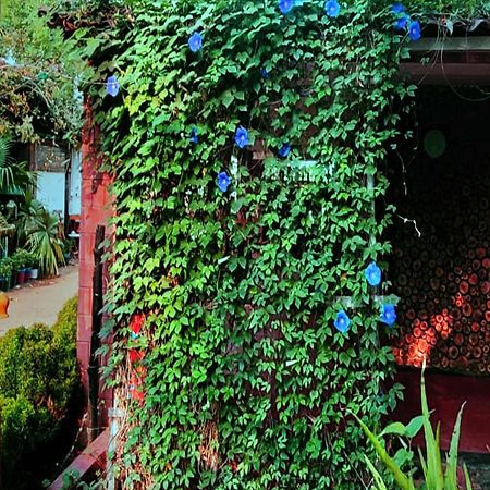 Panchobon Art Resort Шантиникетан Экстерьер фото